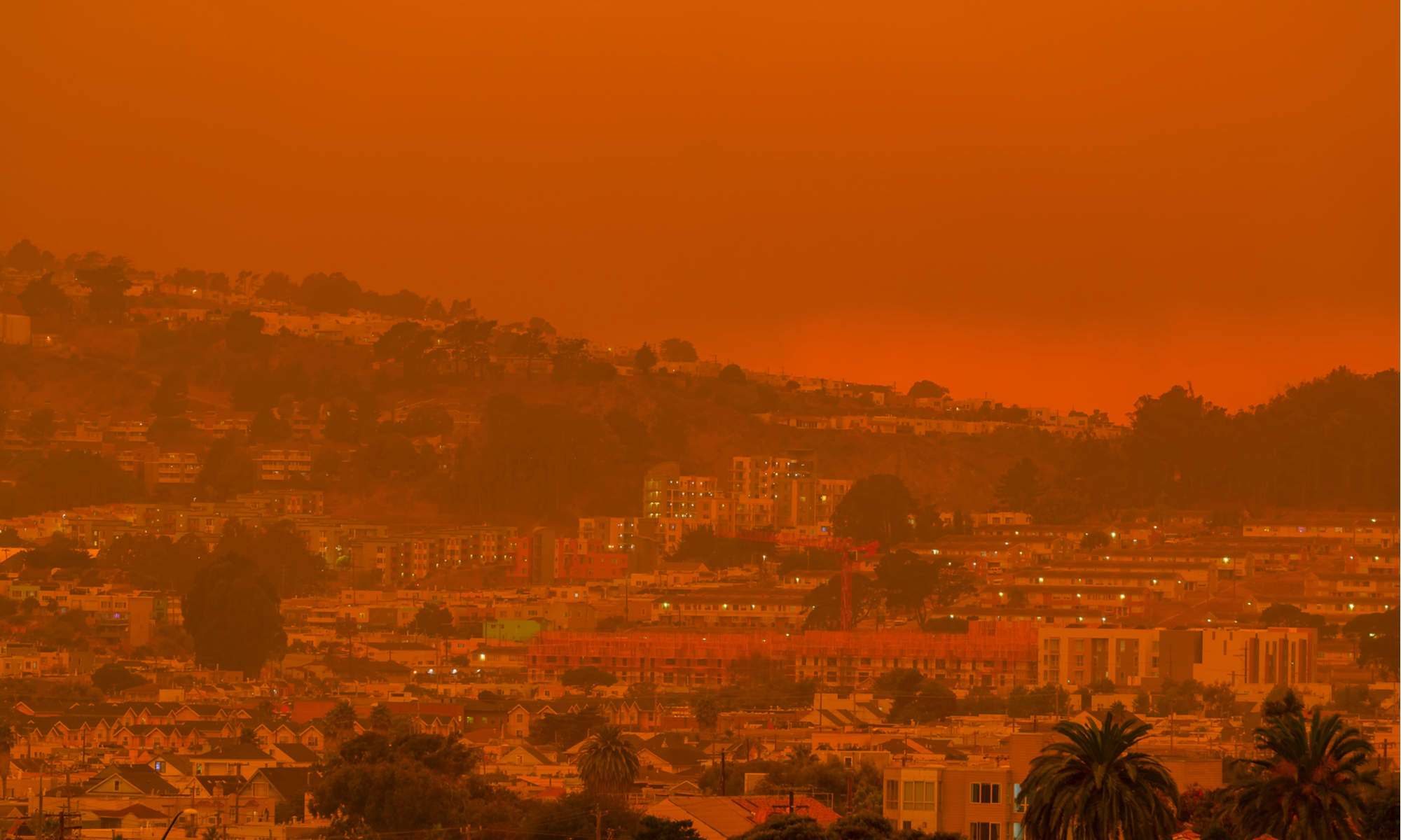 Dans la Californie en flammes, les Français au bord du burn out