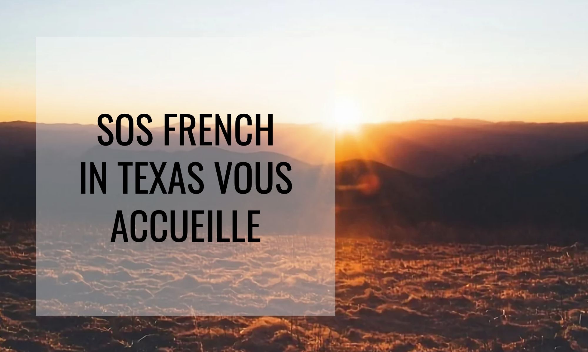 Vivre ailleurs, sur RFI : “Focus sur l’association SOS French in Texas“