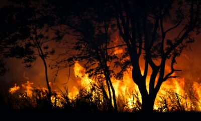 Sécurité dans le monde : gros plan sur les zones de vigilance du 4 au 9 aout 2021